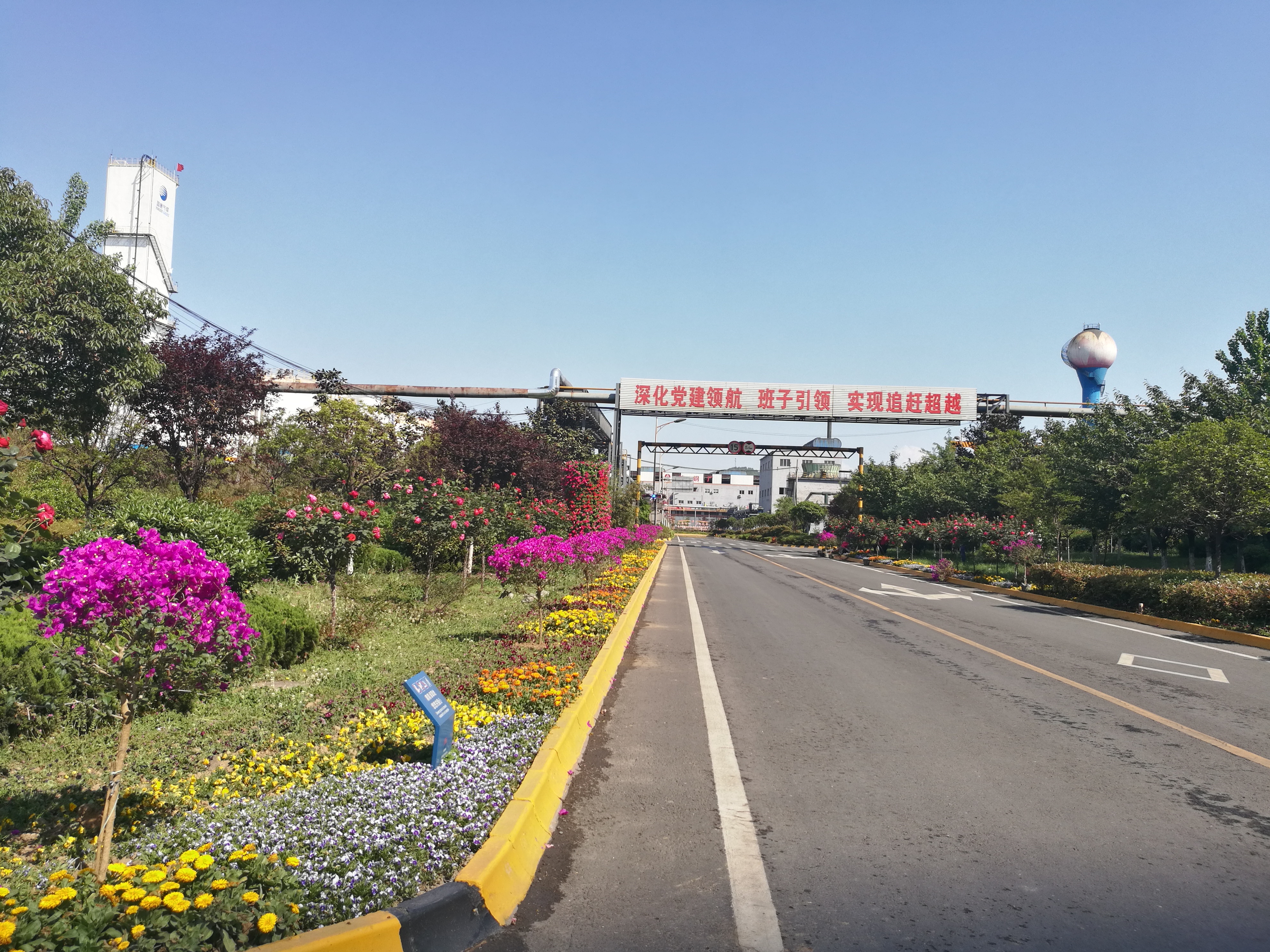 【美麗漢鋼】鏡頭下的漢鋼春 【美麗漢鋼】鏡頭下的漢鋼春