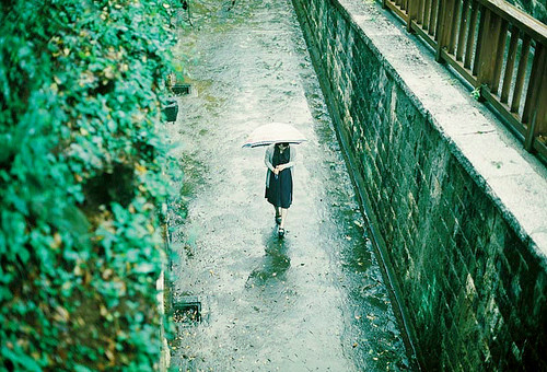 【鋼城文苑】一蓑煙雨任平生 【鋼城文苑】一蓑煙雨任平生