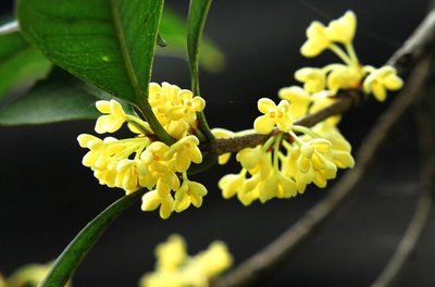 ��䓳���Է����䓻�һɫ��