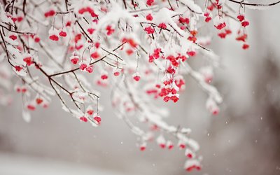 ���䶬�գ�׌�ҁ����������