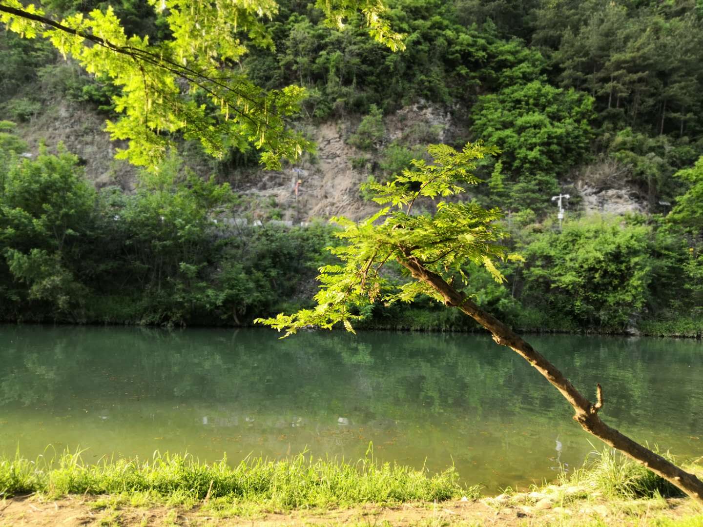 ��䓳���Է��������h