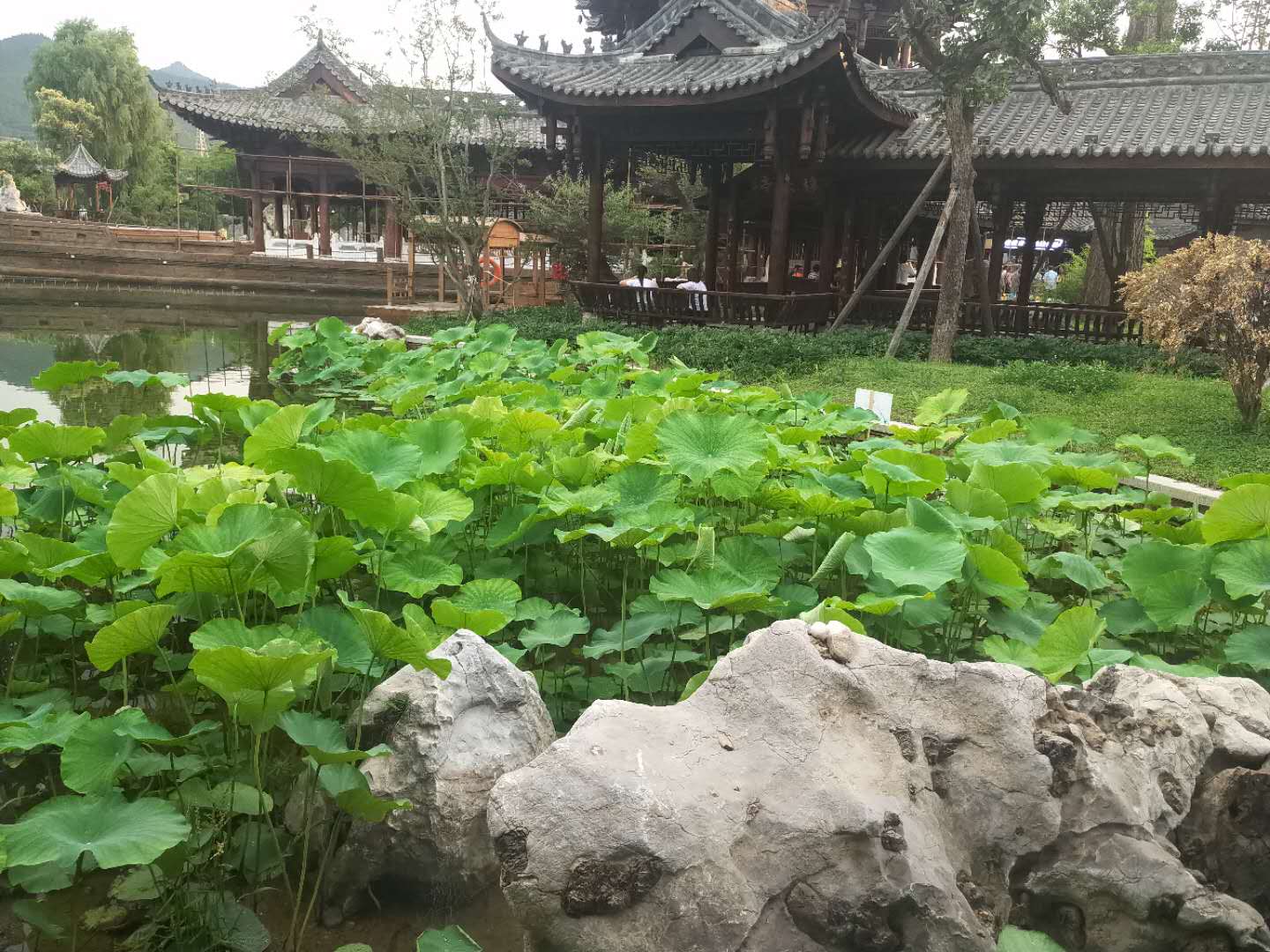 ��䓳���Է��������ĺɻ�