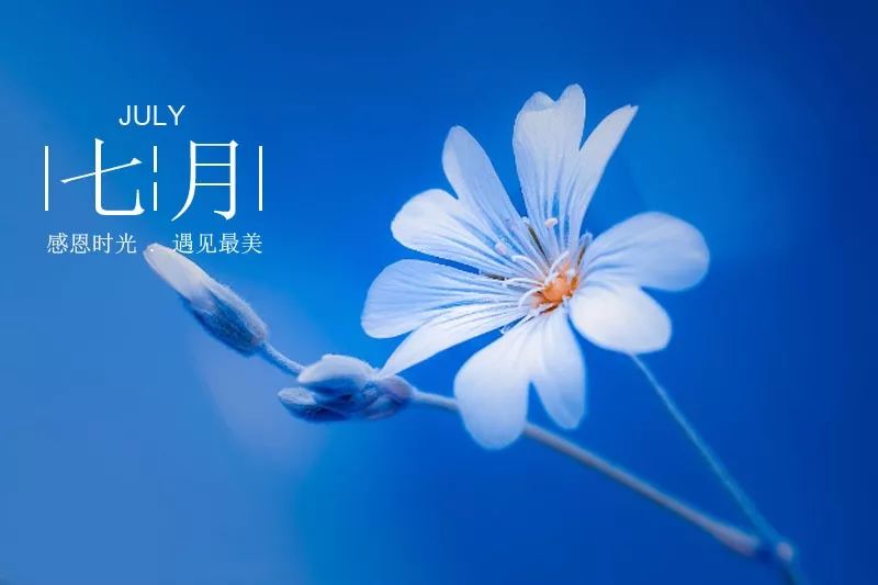 ��䓳���Է�����˶�ʵ�����